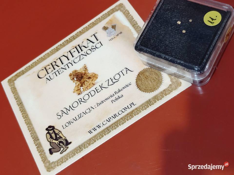 Sprzedam samorodki złote pomorskie Gdańsk