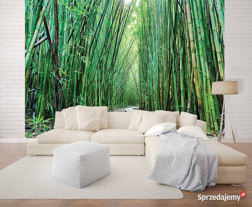 Tapeta fototapeta Bambusowy las 12632VE Leszno