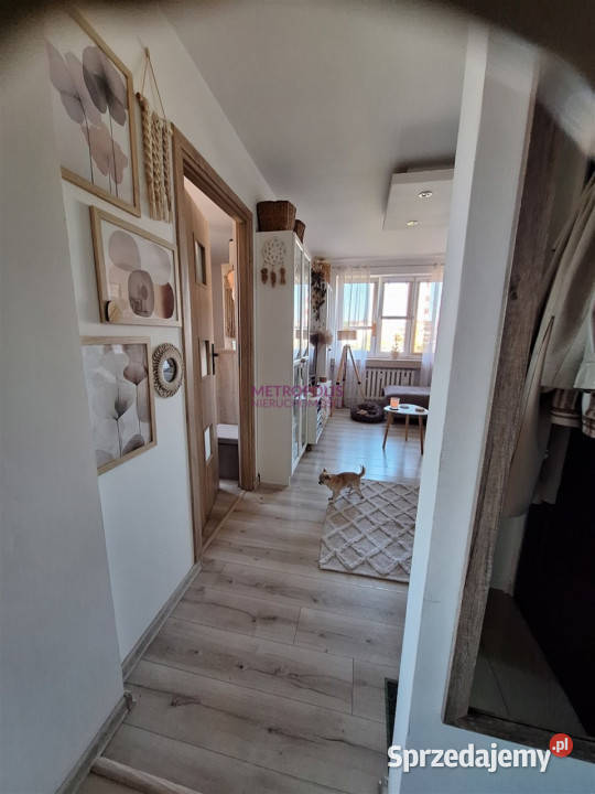 Mieszkanie Rybnik 355m2 2pokojowe