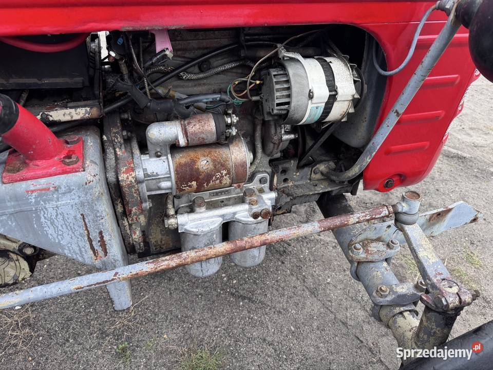 Traktor ciągnik rolniczy Zetor 2011 Majorek 2 Ciągniki Gniezno