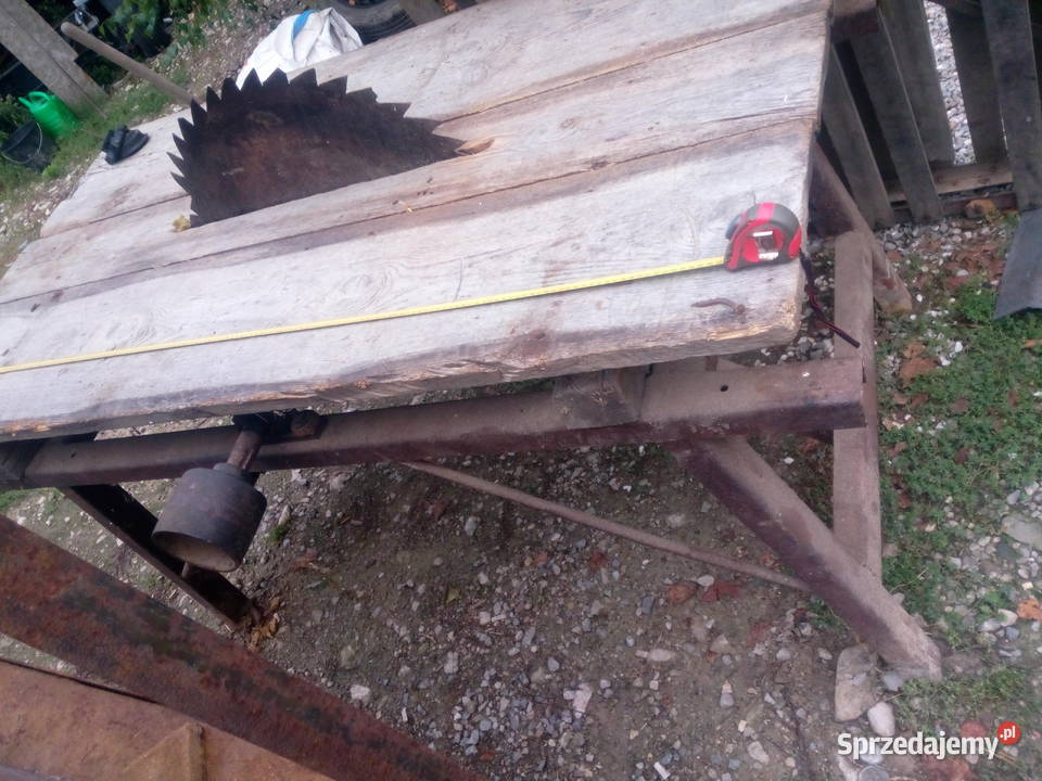 Cyrkularka krajzege piła stołowa lubelskie Krasnystaw