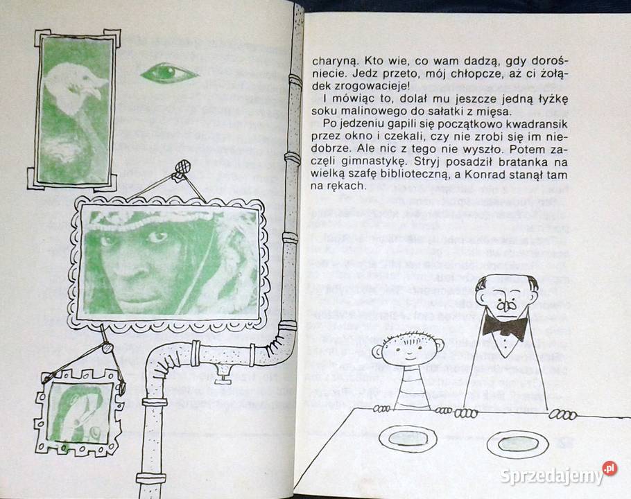 35 maja albo Konrad pojechał konno do mórz Pozostałe Chełm