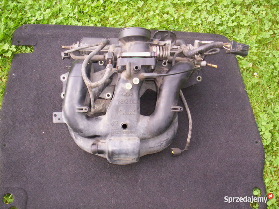 FORD FOCUS MK1 Kolektor ssący 20 16V 18 Benzyna Częstochowa