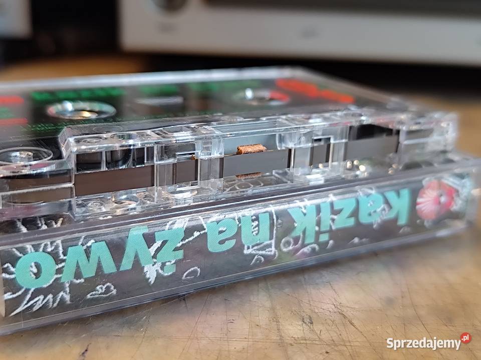 kaseta Kazik Na żywo zachodniopomorskie Stargard