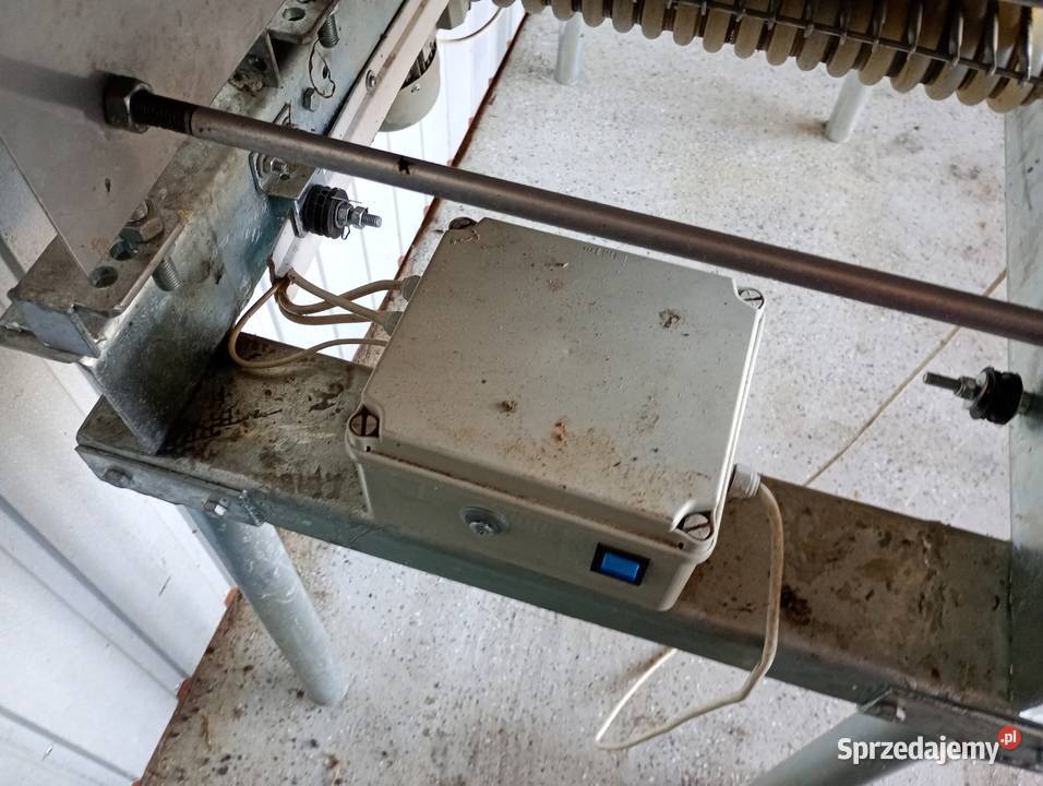 Sortownik do borówki Zwoleń