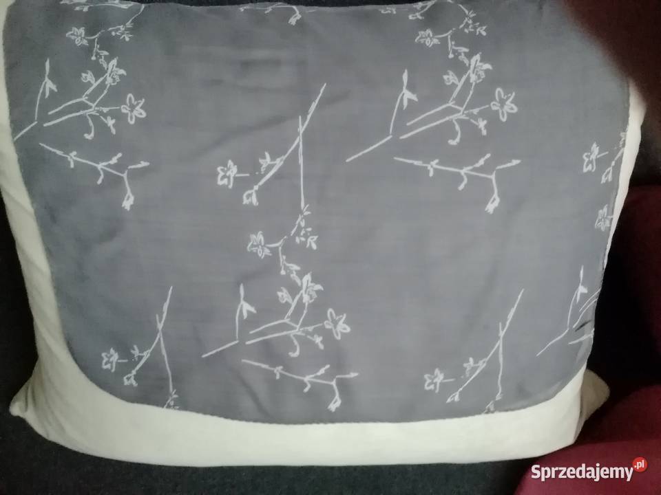 Gawroszki damskie Dla kobiet Łódź