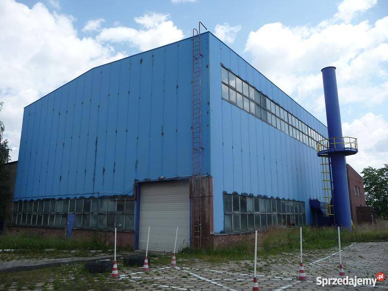 Hale magazynowe Piotrków Trybunalski asfalt Piotrków Trybunalski sprzedam