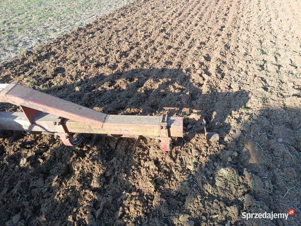 Brona Łopatkowa talerzówka Płock