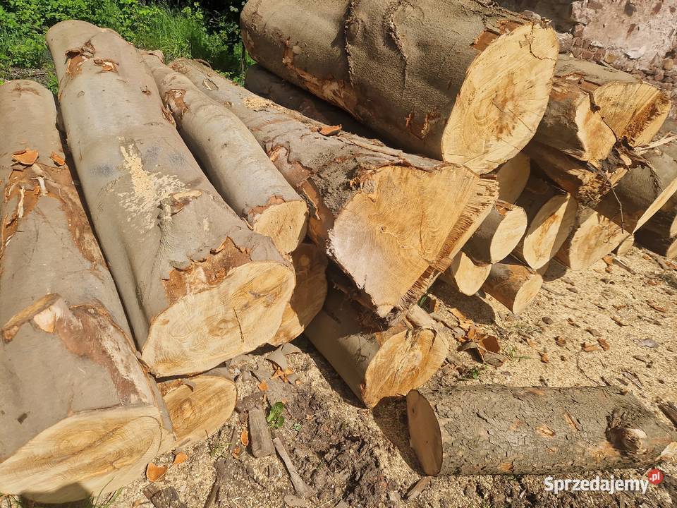 Sprzedam Drewno OpałoweKominkowe 570 x 894 x 900 Nowa Ruda