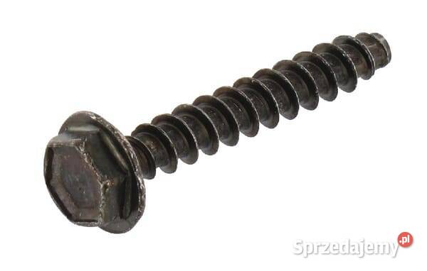 Śruba 698425 Części i akcesoria Kamionna sprzedam
