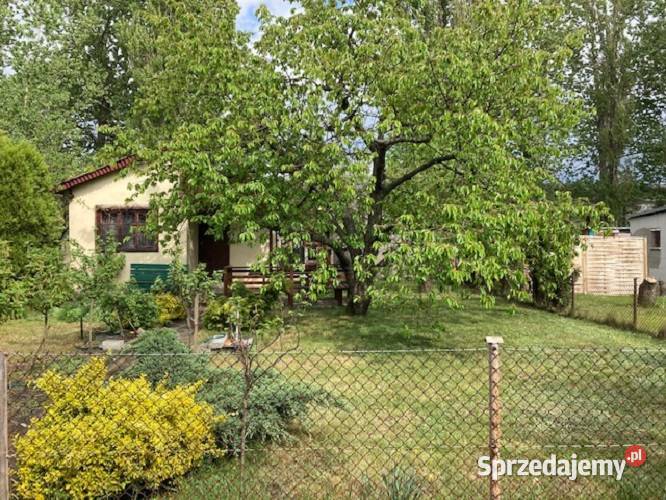 Działka rekreacyjna Rudak ROD Liliput Toruń