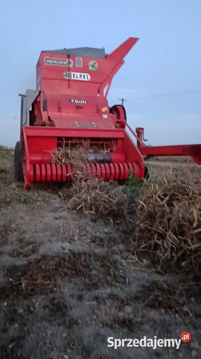 SOLMAX KOMBAJN DO FASOLI lubelskie
