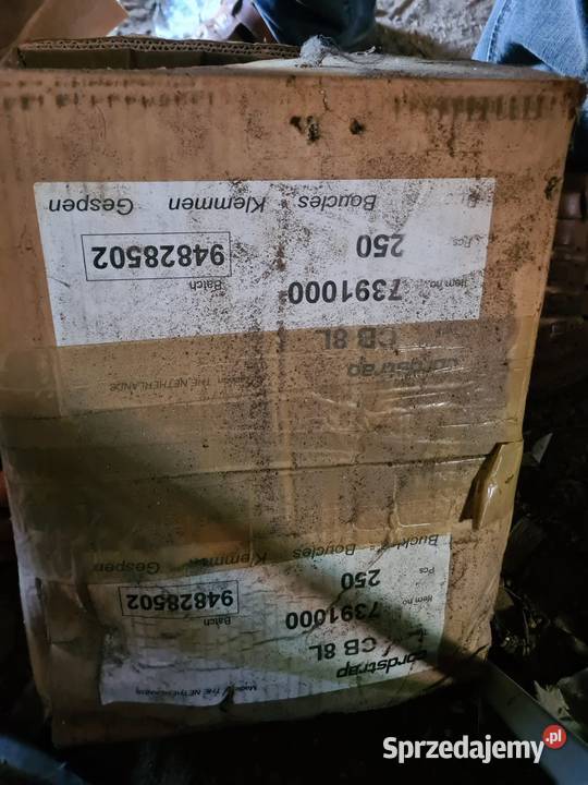 Bandownica Kurozwęki