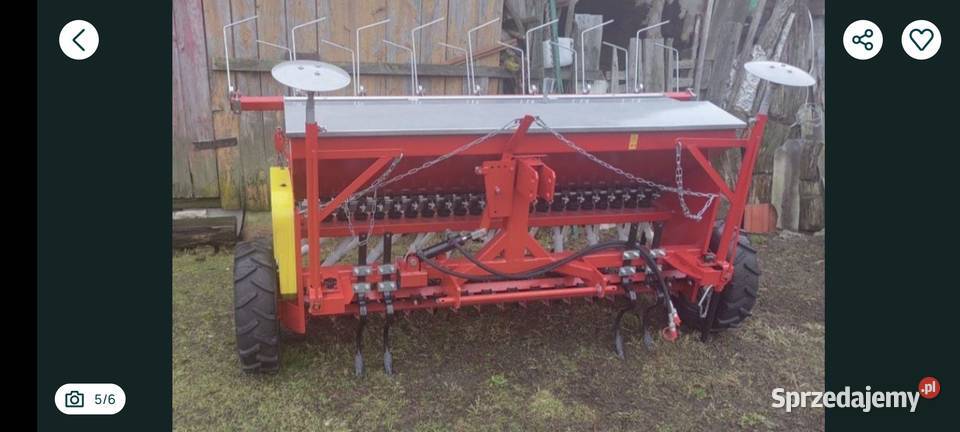 Siewnik Meprozey Bokinka Pańska