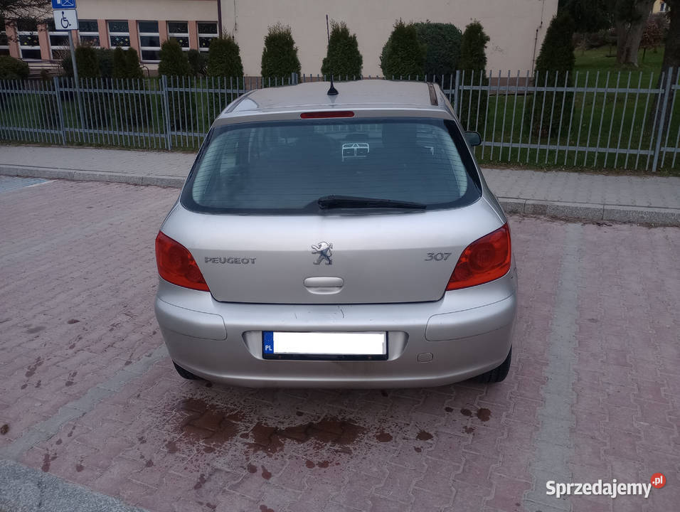 Peugeot 307 14 benzyna Hatchback rocznik 2007 małopolskie Limanowa sprzedam