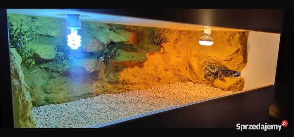 Terrarium żółwia greckiego gekona lamparciego mazowieckie Otwock sprzedam