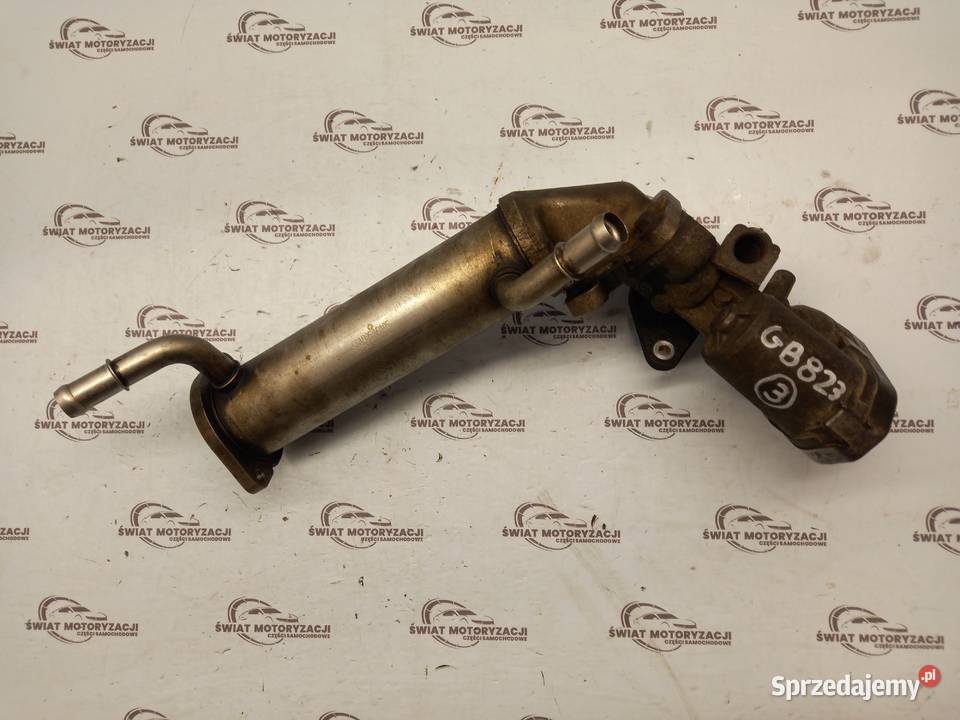 TRANSIT JUMPER BOXER 22 TDCI P8FA 85 chłodnica Kielce sprzedam