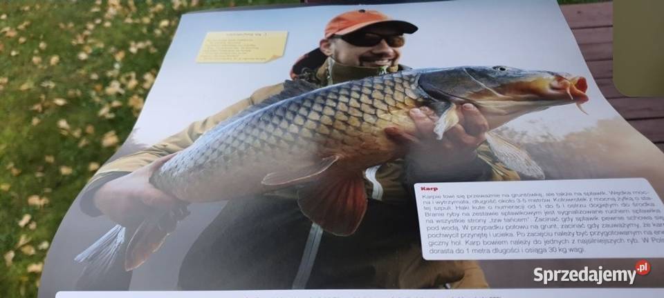 Kalendarz Wędkarski 2025 Jawor