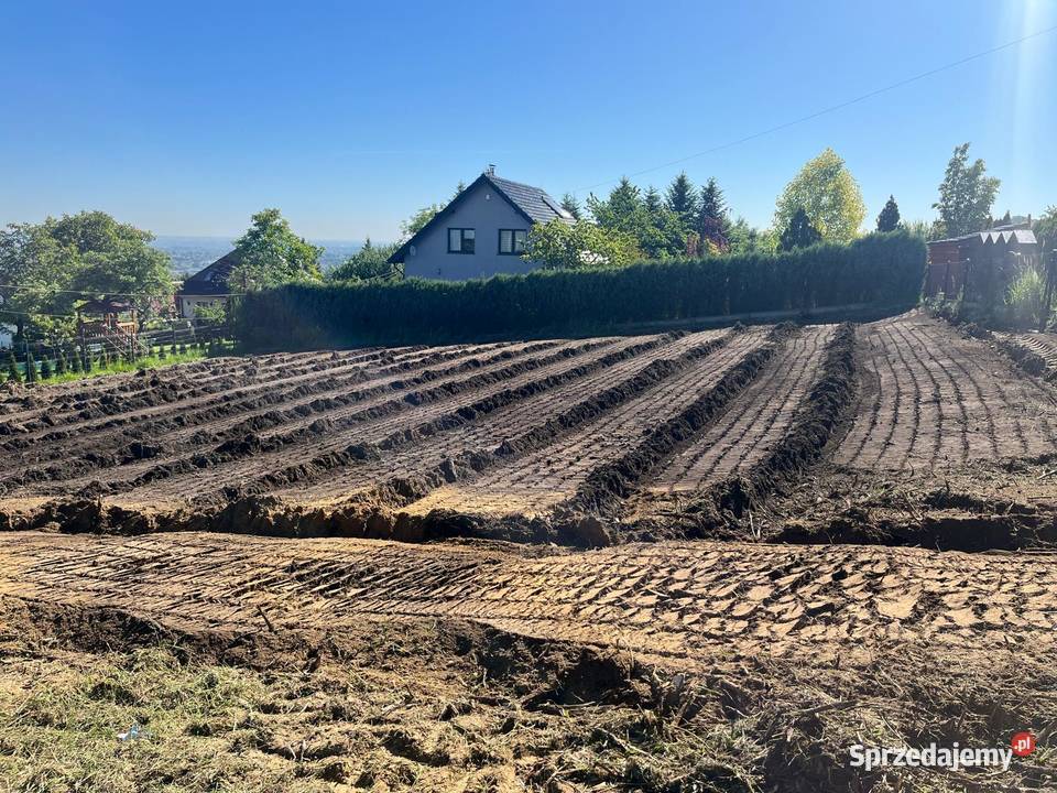 Mulczowanie działek Bochnia jest ważną częścią