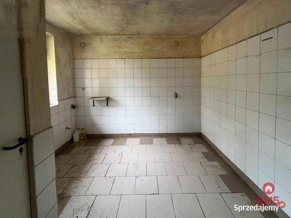 wynajmu lokalu Białystok 450m2