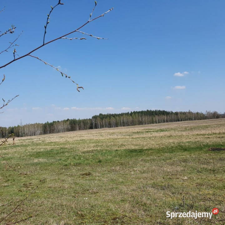 Nieruchomość rolna 3983ha Dłużyna Górna