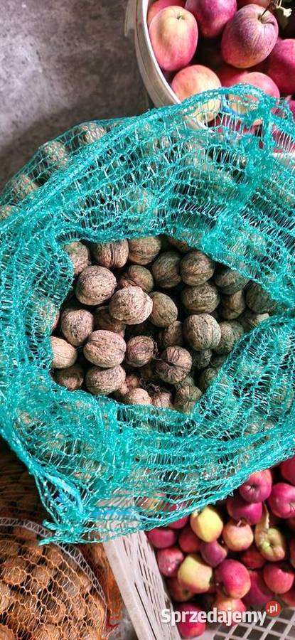 Orzechy włoskie Milin