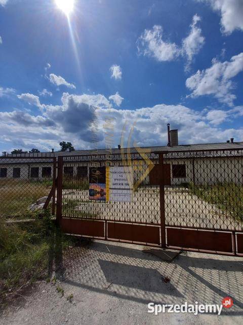 Lokal Kozery Nowe Krajobrazowa mazowieckie