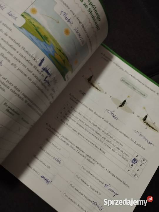 Poznajemy przyrodę zeszyt ćwiczeń klasa 4 Podręczniki Poznań