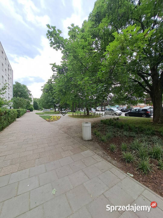 Inżynierskiej BalkonPiwnicaInwestycja Wrocław sprzedam