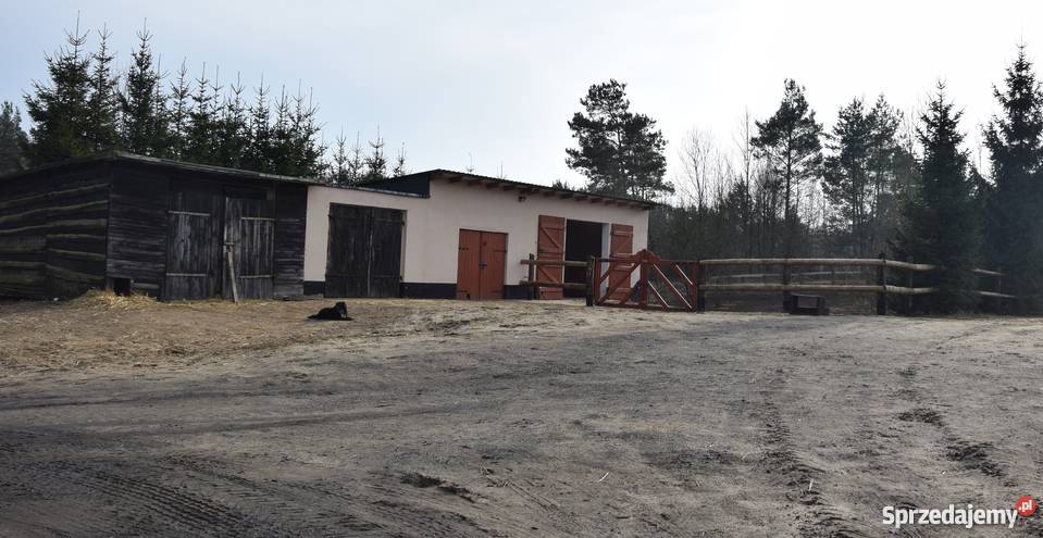 Ferma Drobiu hale produkcyjno przemysłowe pomorskie Miastko