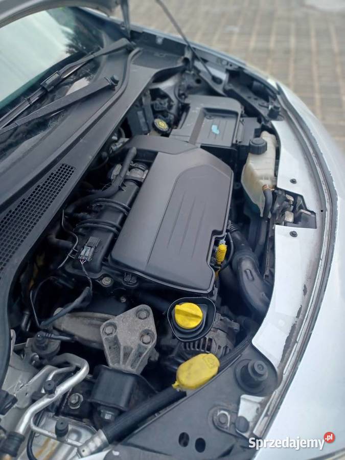 RENAULT CLIO Głogów