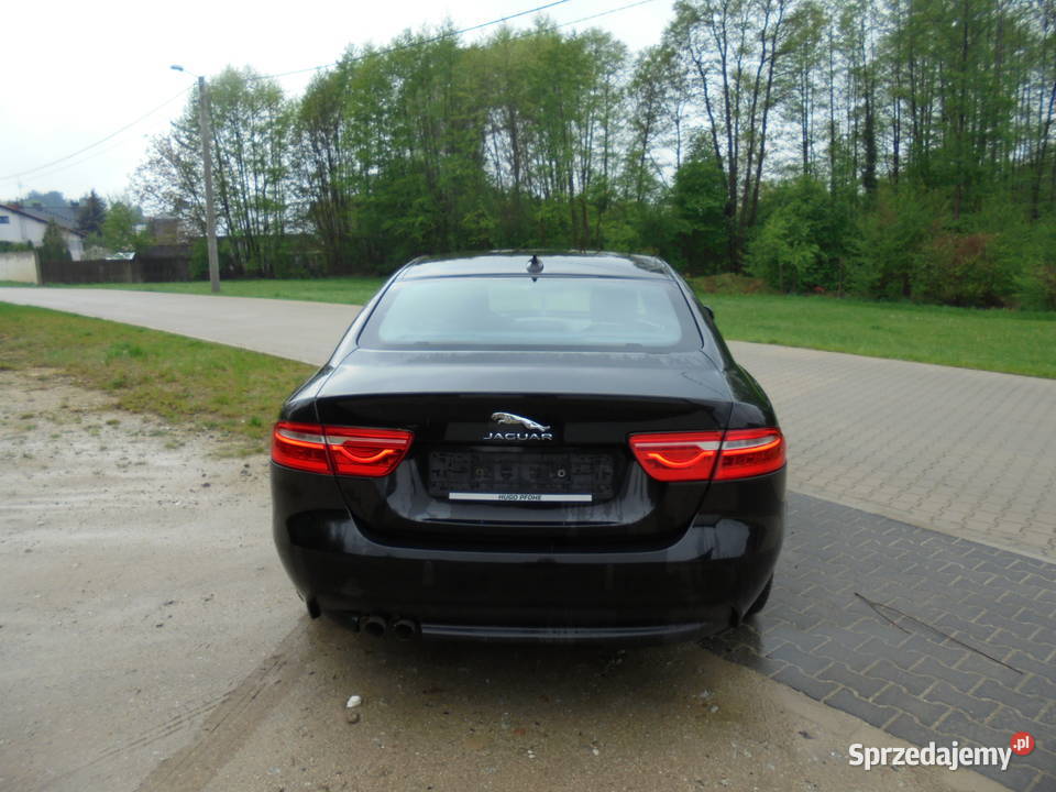 Jaguar XE Sport 20 D 180 Automat 8G n rozrząd Włoszakowice