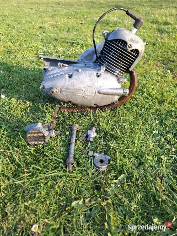 Silnik Rex monaco 1959r Świdnica