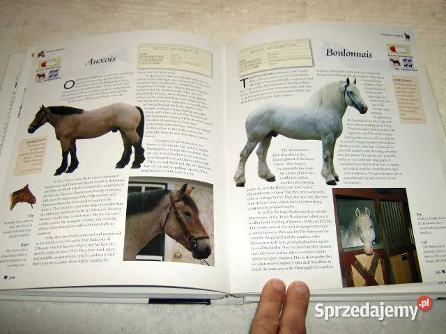 The Encyclopedia of Horses Ponies Tasmin Poradniki, albumy i reportaże sprzedam