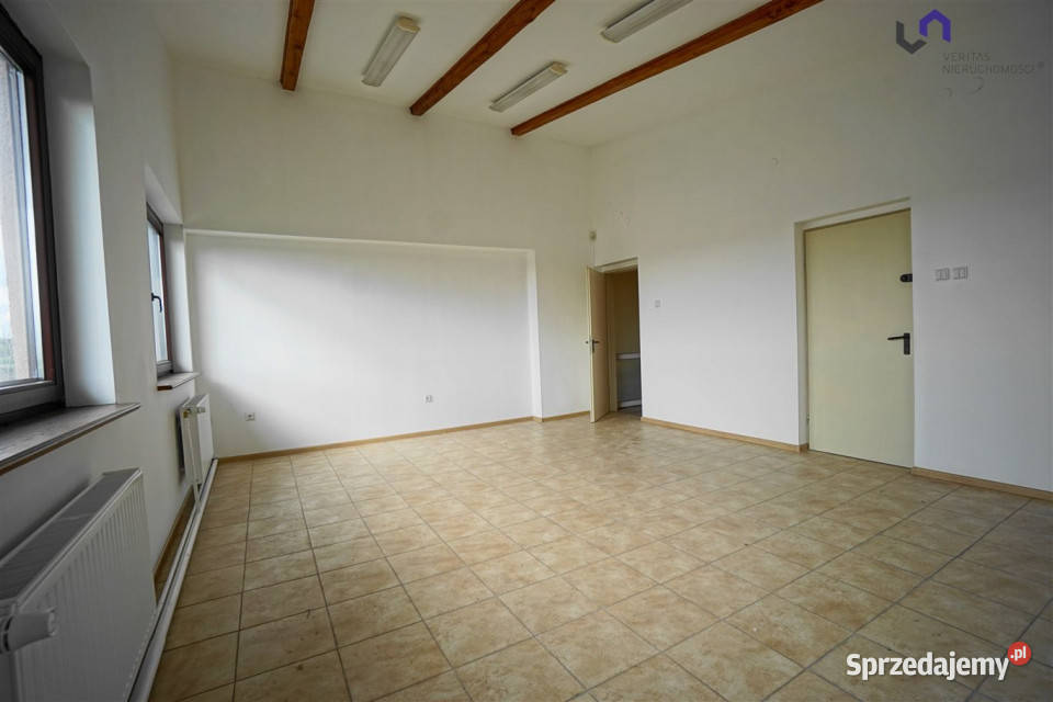 wynajmu lokalu Siemianowice Śląskie 7024m2