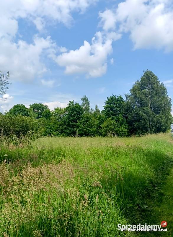 ŁADNA DZIAŁKA W ŚWIERZOWEJ POLSKIEJ 24 AR 72zł/m2 podkarpackie Krosno