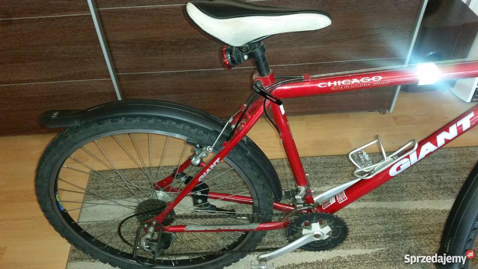 Rower Giant Chicago Sports 26