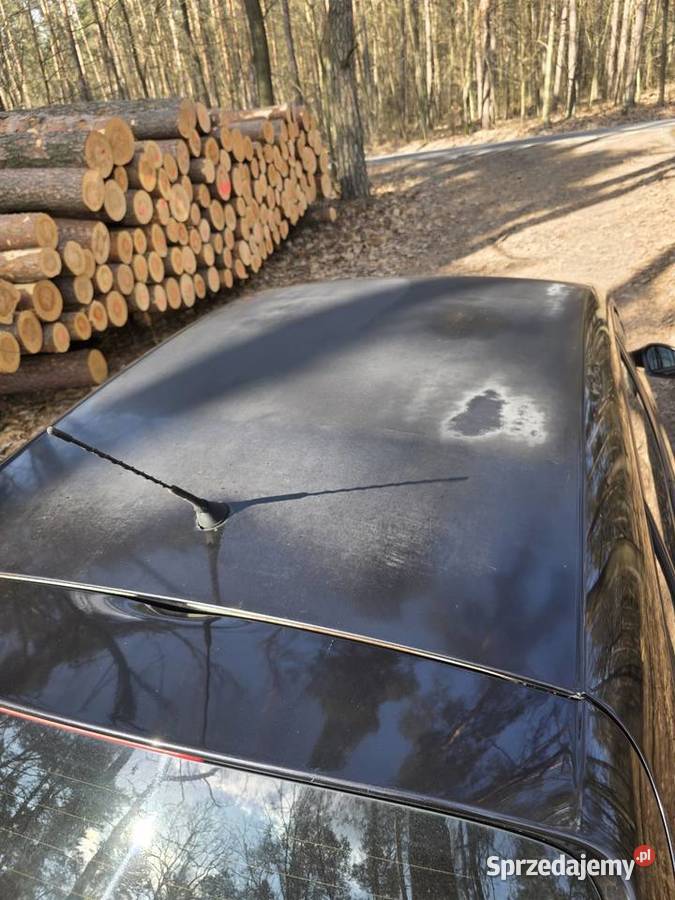 Seat altea 19 hak Radzyń Podlaski