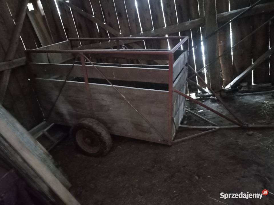 Przyczepka lubelskie