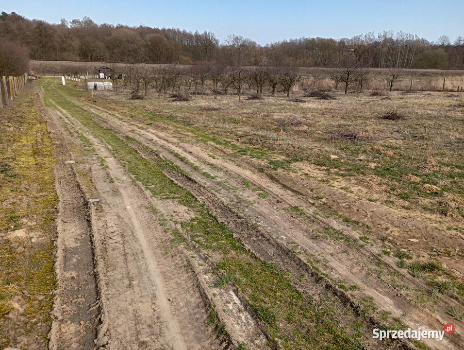 Działka budowlana Brochocin gmina Trzebnica
