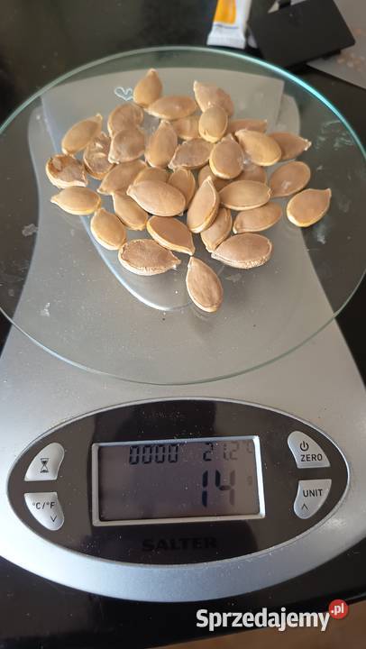 Nasiona Dynia Nelson Kołaczyce sprzedam