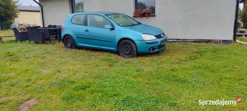 VW Golf V Syców