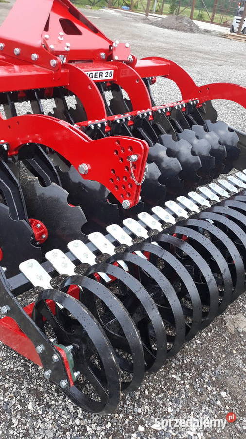 BRONA TALERZOWA TIGER podlaskie Sokółka