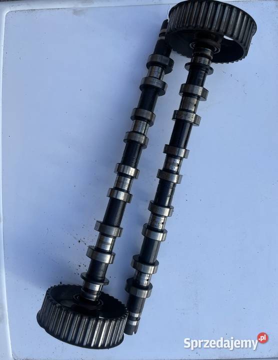 wałki rozrządu Renault mgane Scenic 1 Lift Łańcuchy i napinacze rozrządu Ostrzeszów