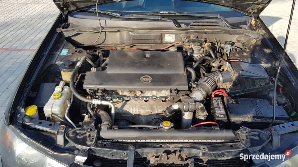 NISSAN ALMERA N16 LIFT ABS Almera Mrozy sprzedam