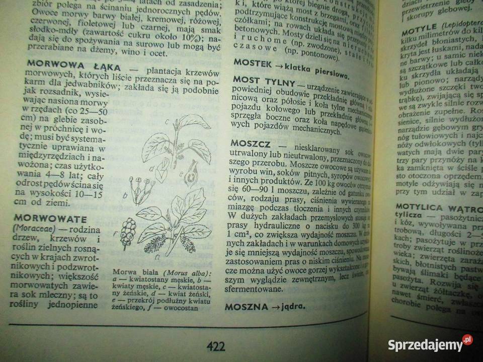 Mała encyklopedia rolnicza rolnictworosliny Łódź