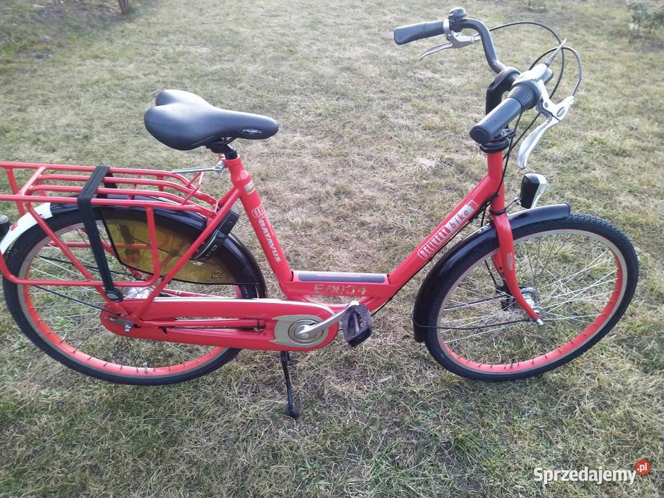 Rower damka Batavus Delivery Bike 26 Nexus 7