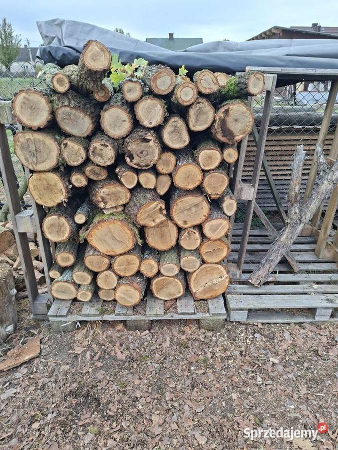 Drzewo opałowe Dębina 12 metra Sadowne