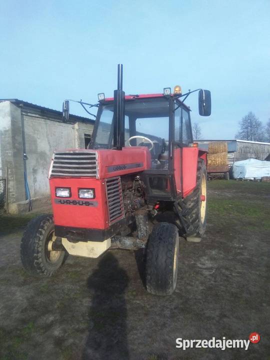 Sprzedam Ursusa lubelskie