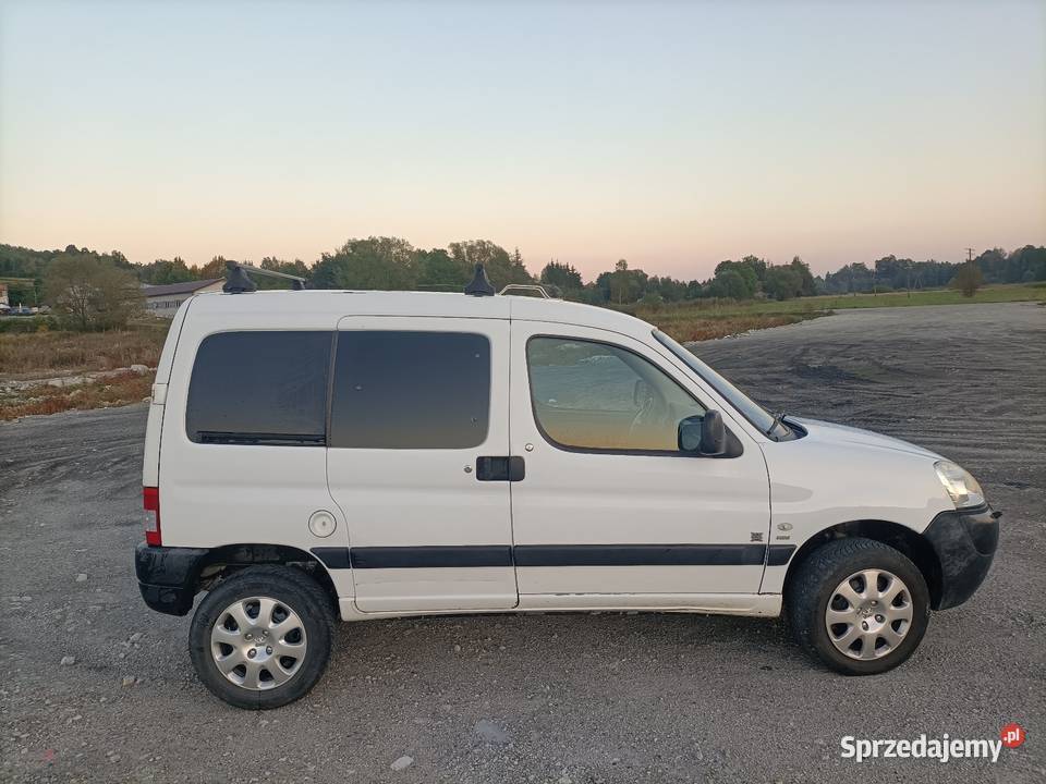 Peugeot Partner 4x4 Dangel immobilizer Blizne